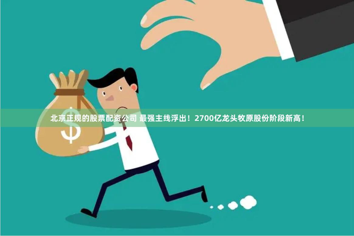 北京正规的股票配资公司 最强主线浮出！2700亿龙头牧原股份阶段新高！