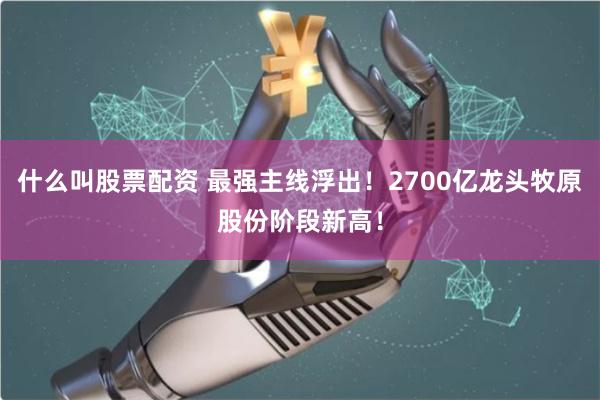 什么叫股票配资 最强主线浮出！2700亿龙头牧原股份阶段新高！