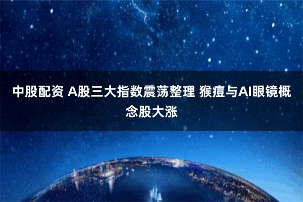 中股配资 A股三大指数震荡整理 猴痘与AI眼镜概念股大涨